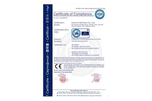 電容運轉(zhuǎn)異步電動機CE認證